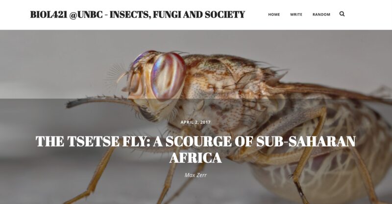 BIOL421 Insects, fungi, and society
