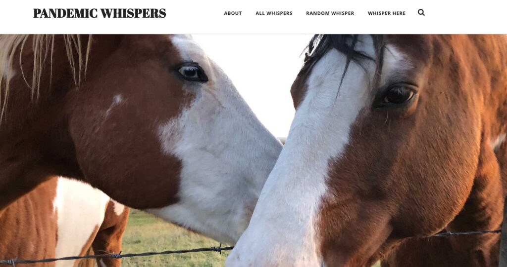 Pandemic Whisoers site with banner image of two horses that look like they are sharing a secret